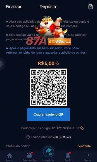 🧿️Passo 3: Os jogadores efetuam o pagamento via PIX usando o código QR